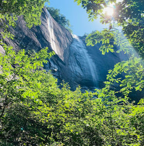 Meet your Posher, Zoe